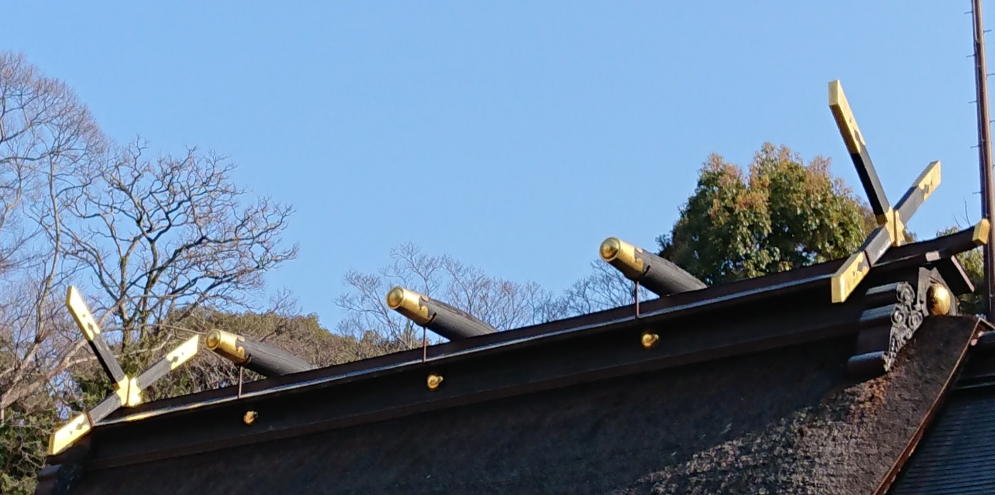 「おきちぎ」の写真