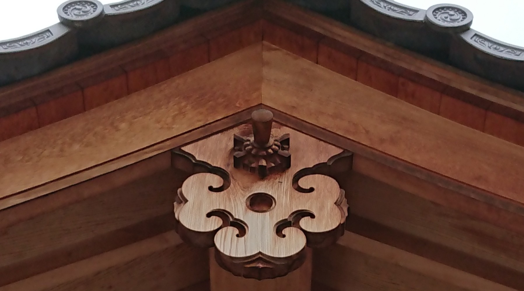 「みつはなげぎょ」の写真