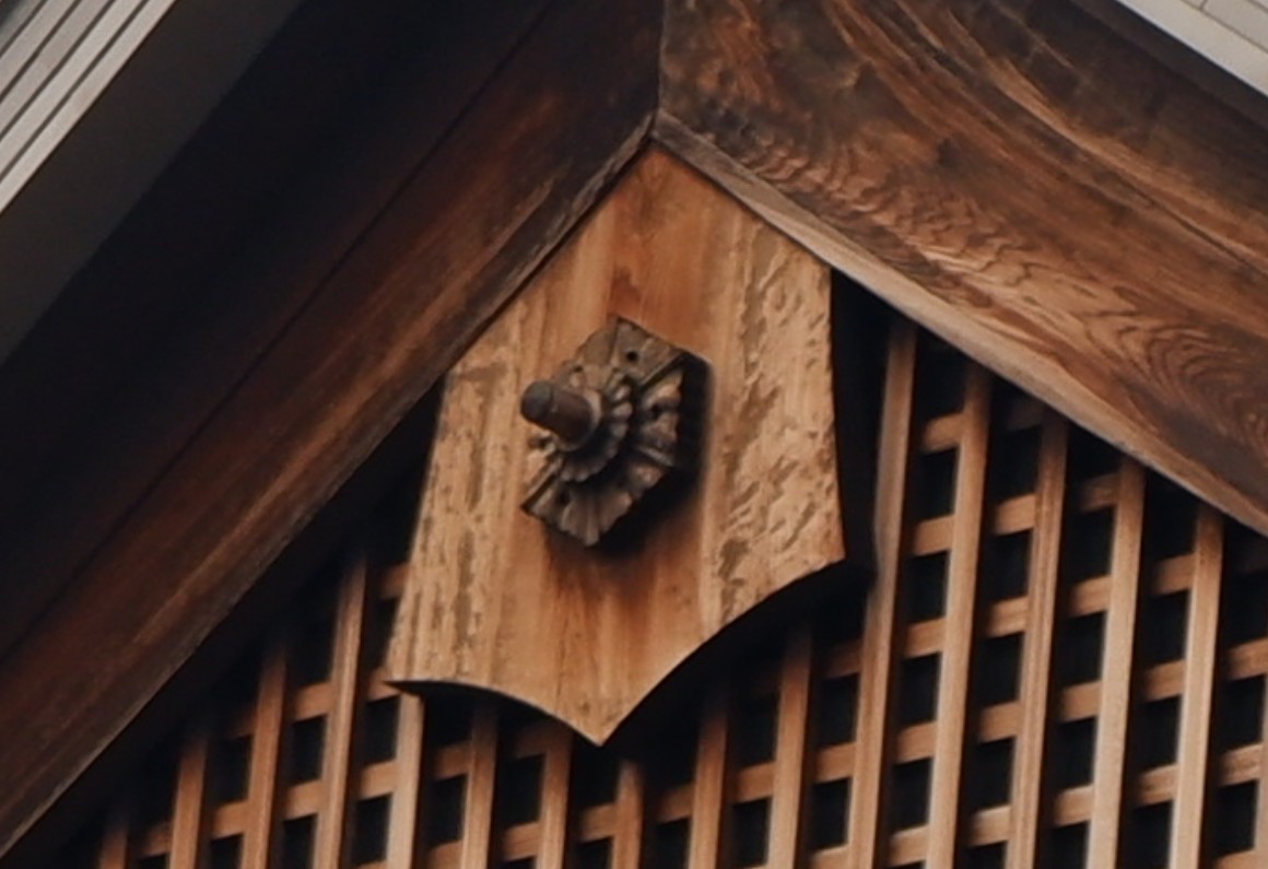 「うめばちげぎょ」の写真