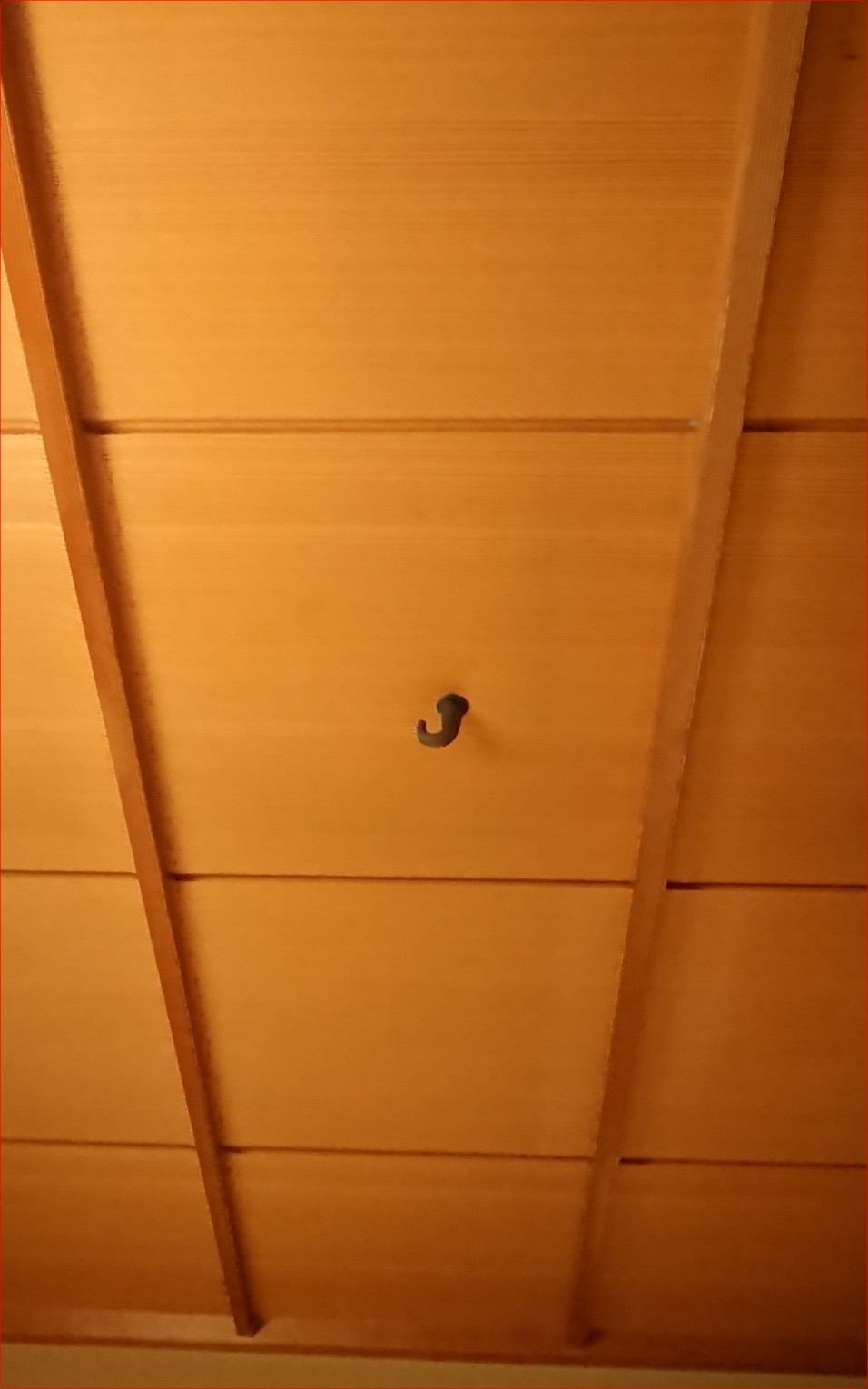 茶室の天井に付く、「ひるかぎ」の写真