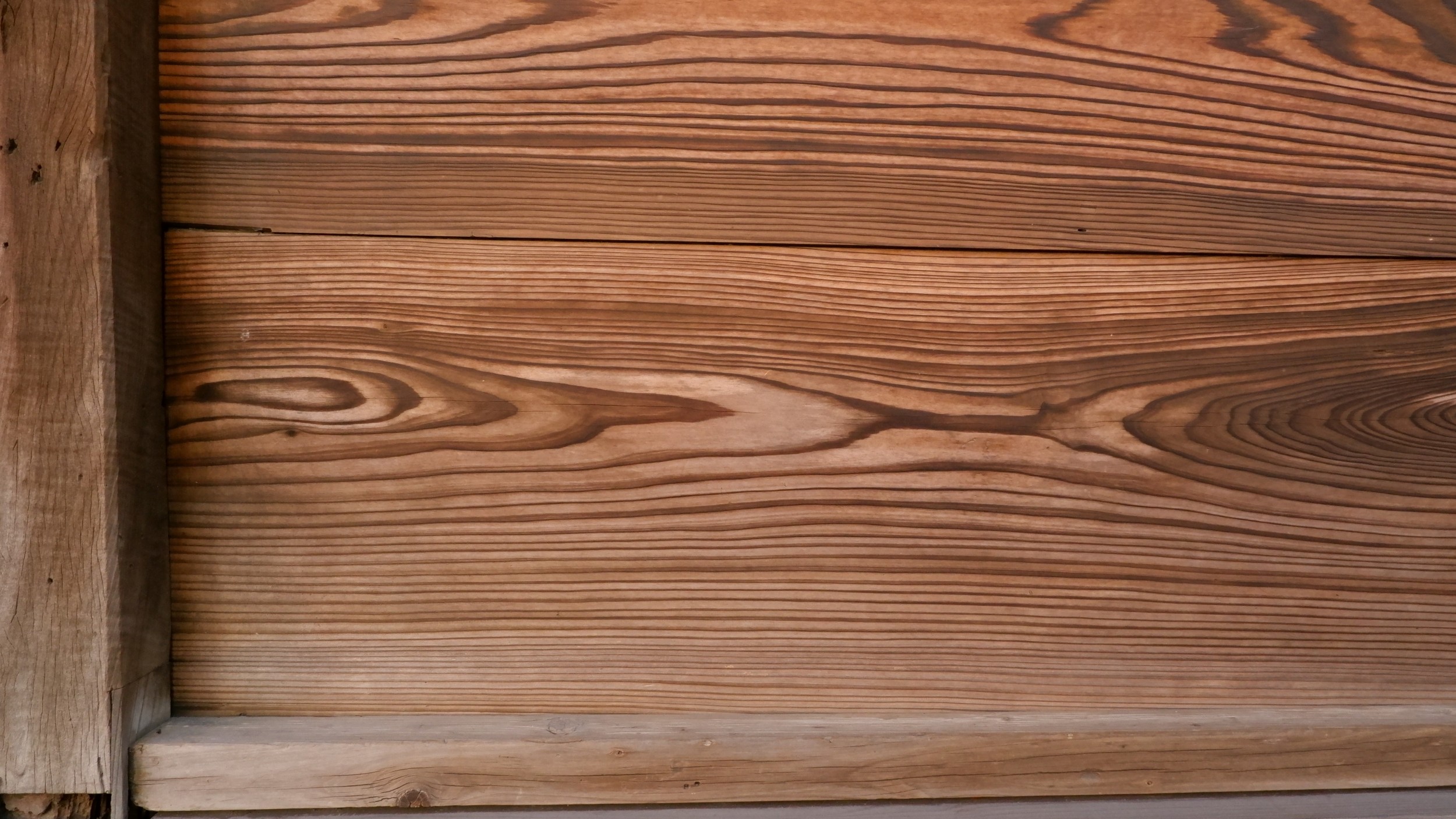 「いきぶし」の写真