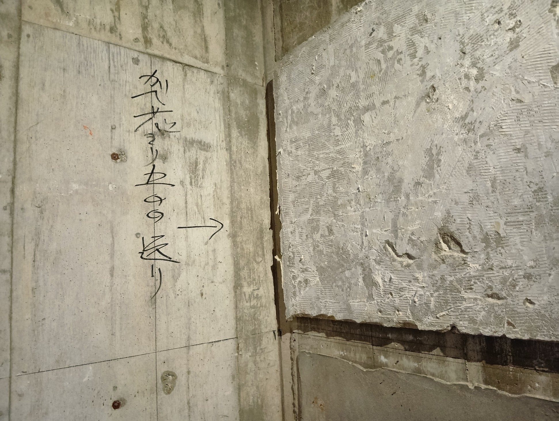 「かべしん」の写真