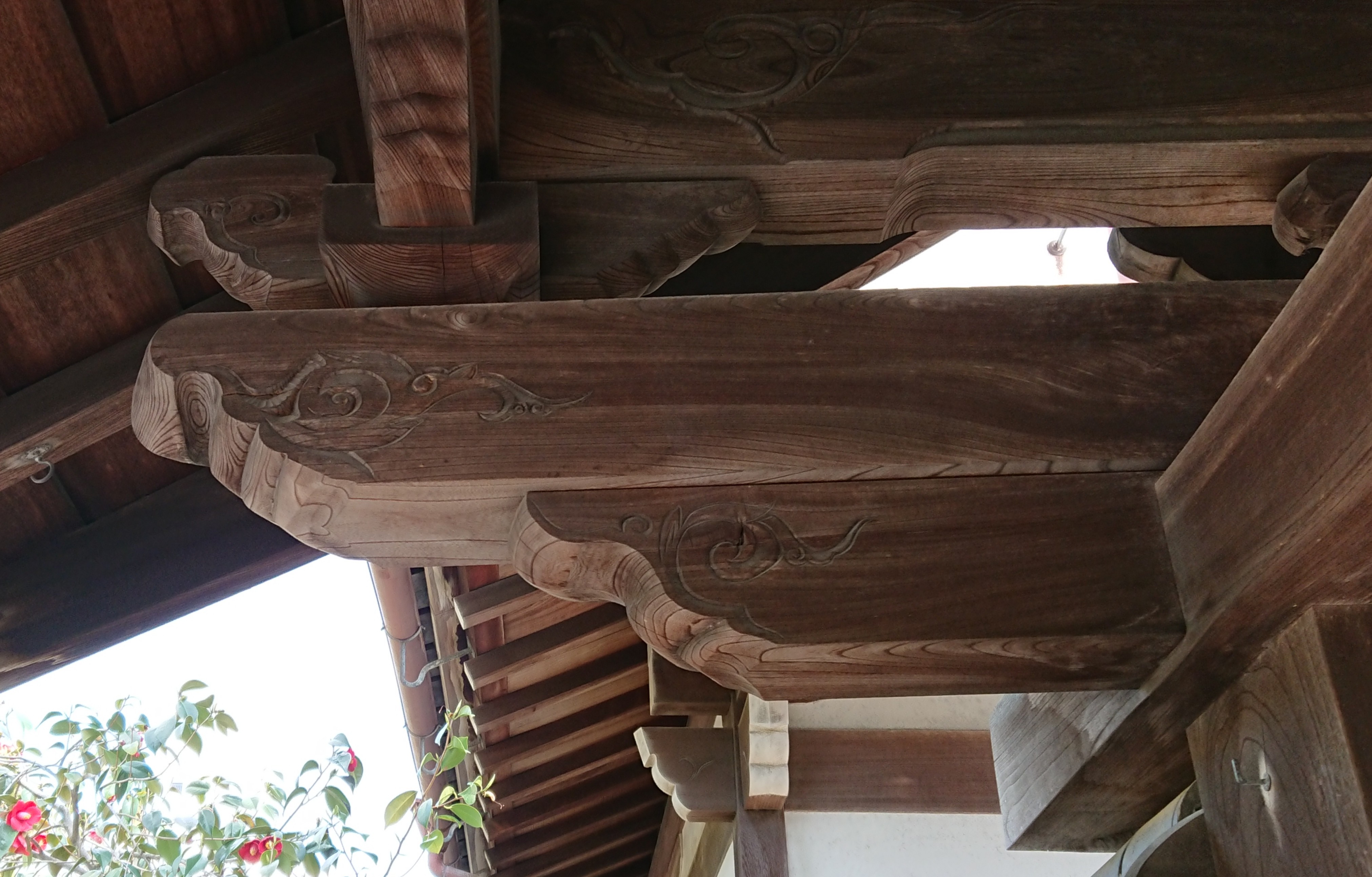 「きばな」の写真