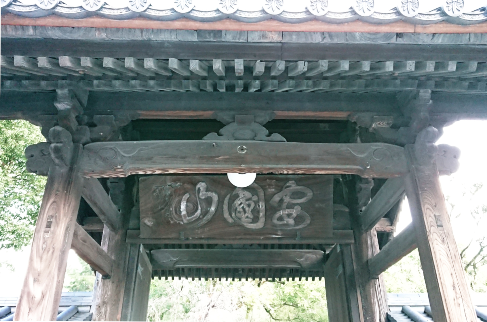 「こうりょう」の写真