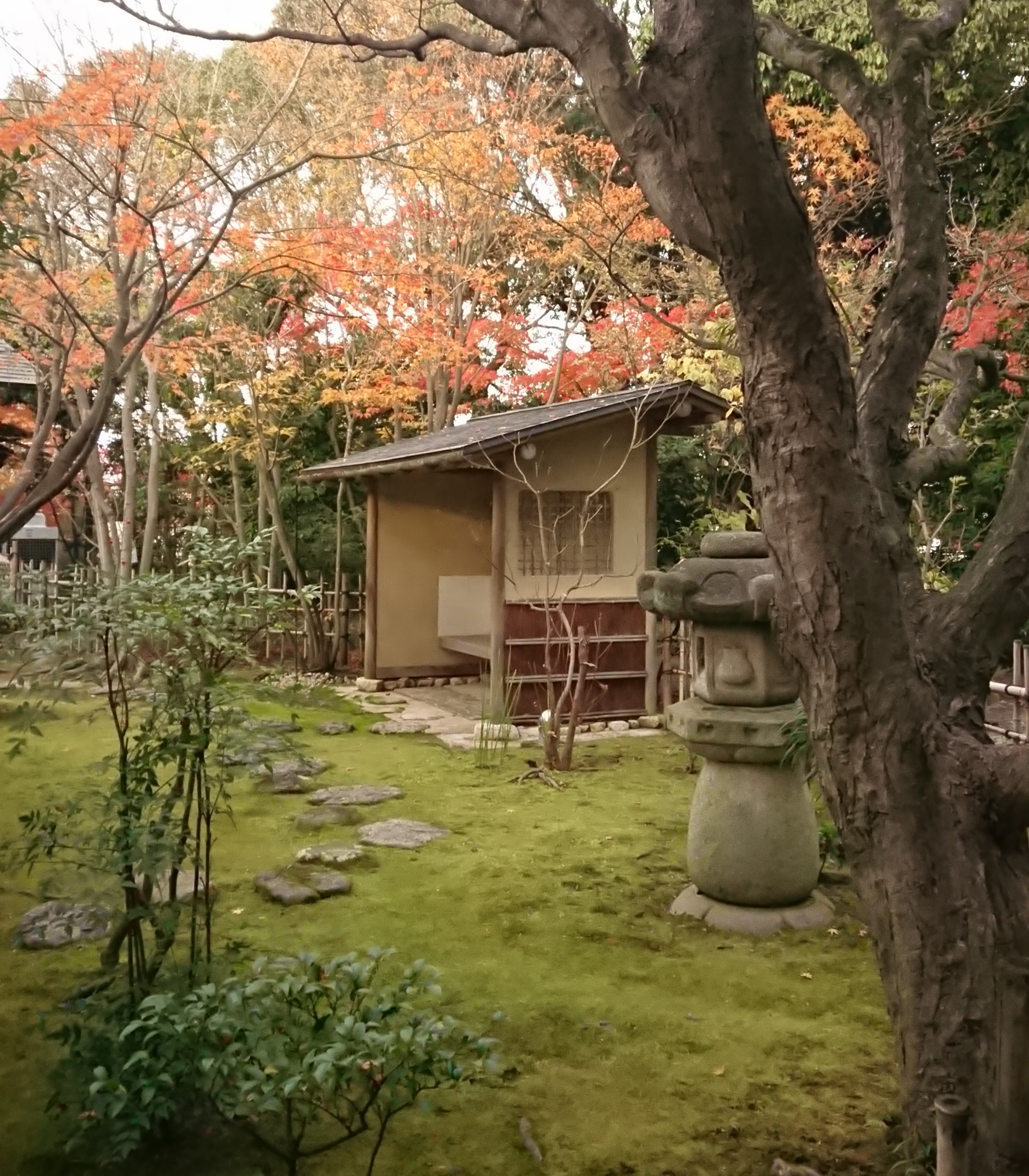 「そとこしかけ」としての「こしかけまちあい」の写真