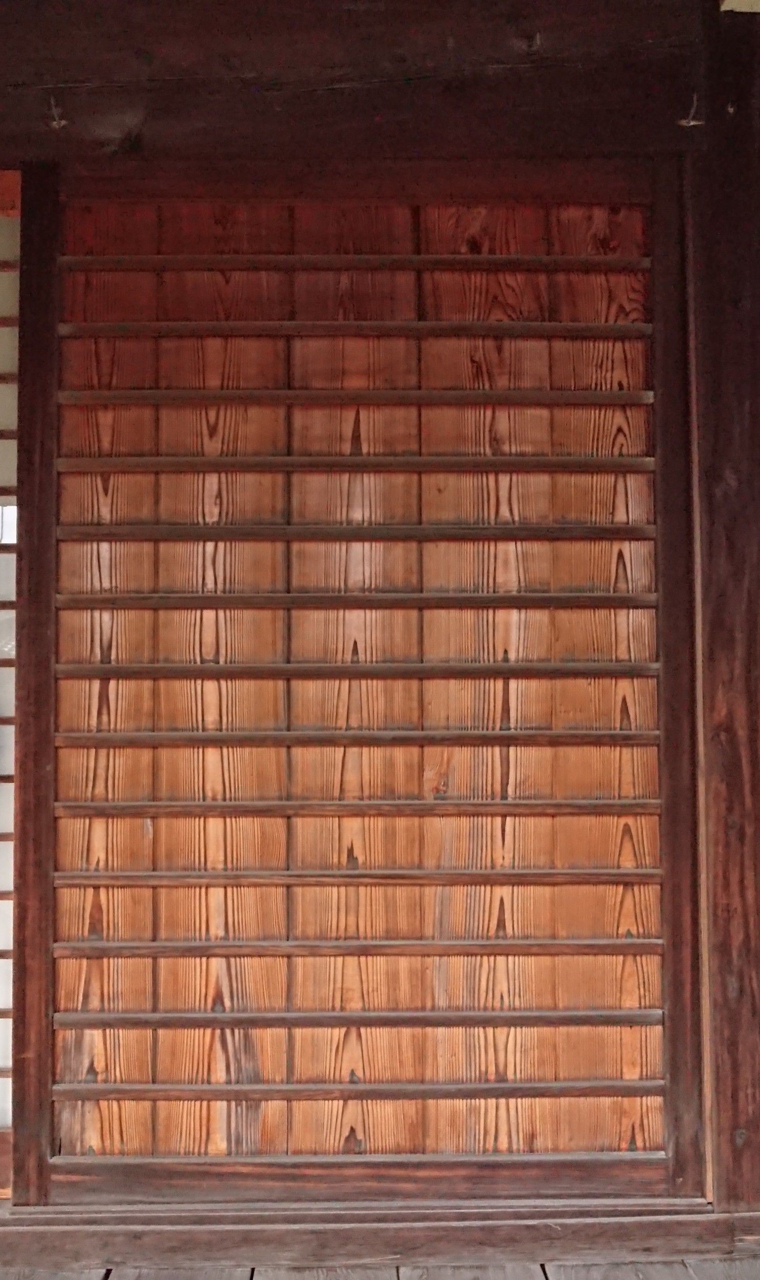 「まいらど」の写真