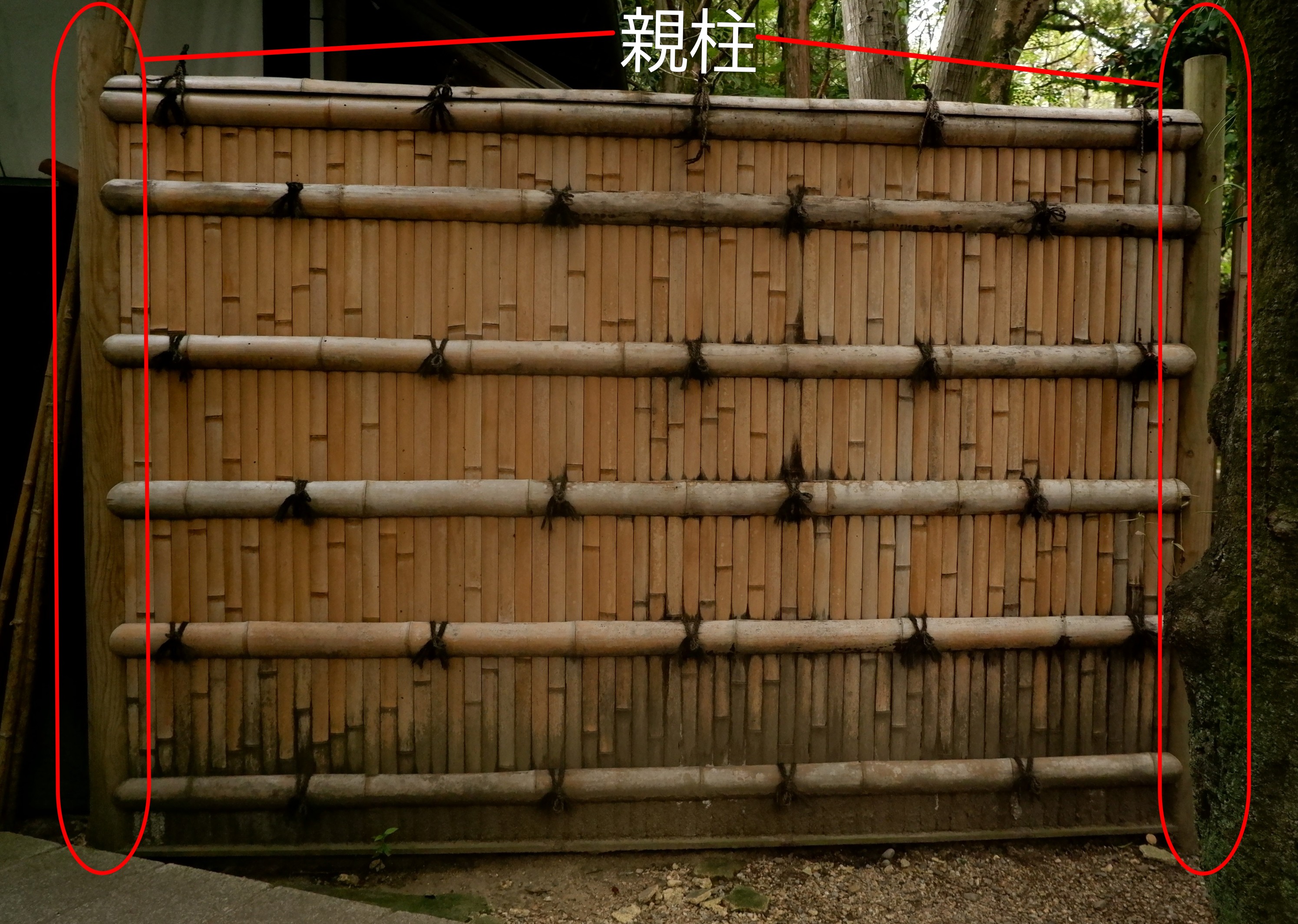 「おやばしら」に印をつけた写真