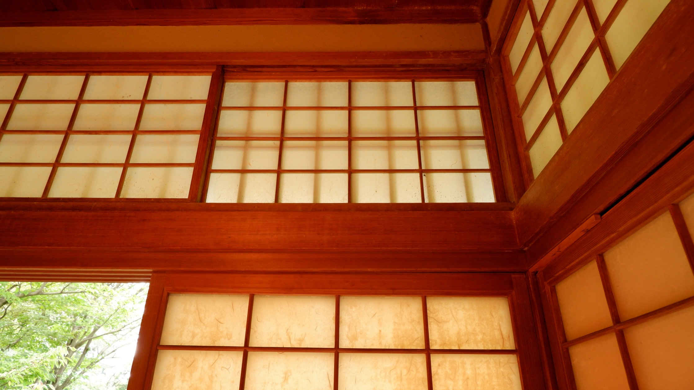 「しょうじらんま」の写真