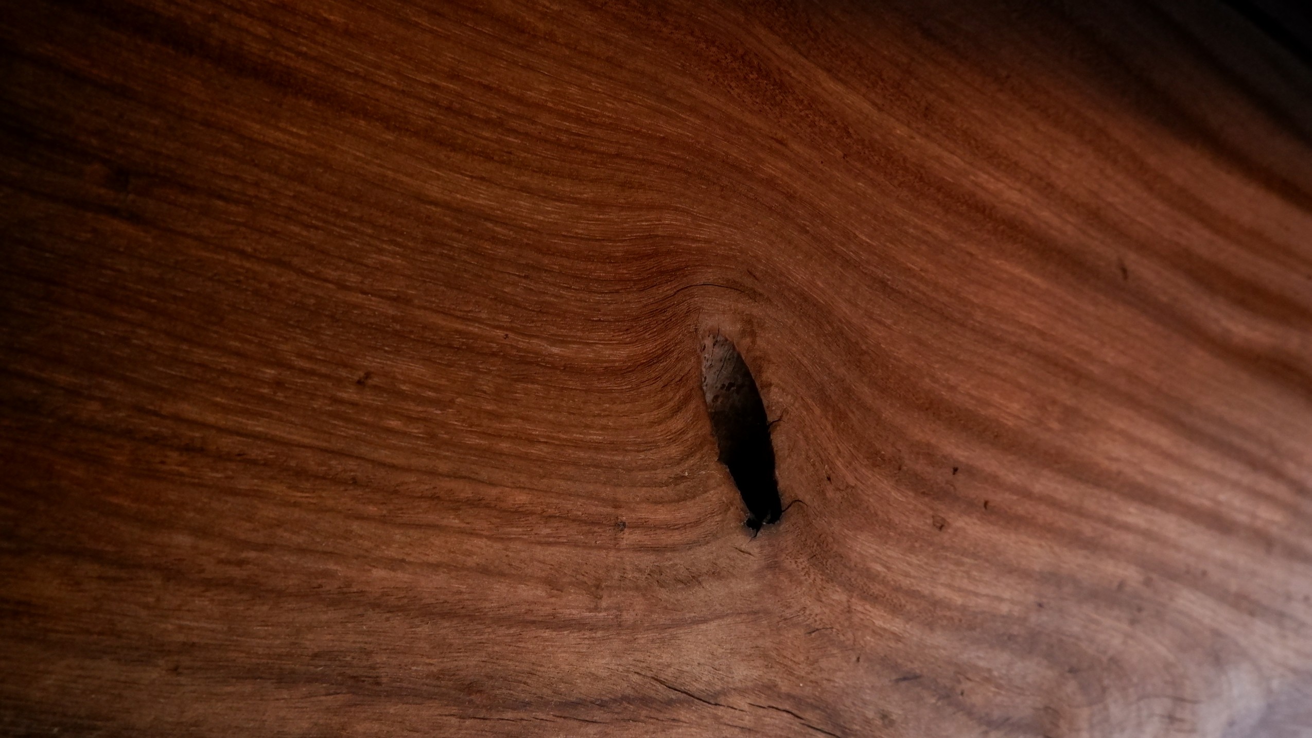 「しにぶし」の写真