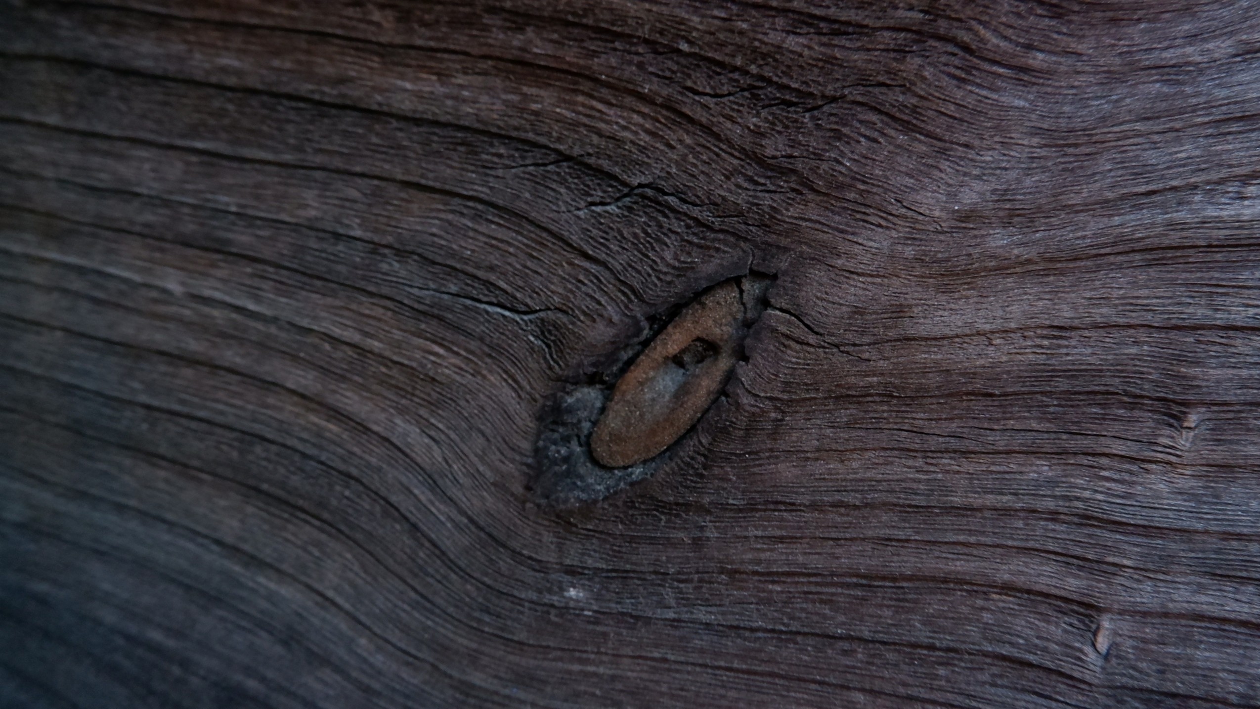 「しにぶし」の写真