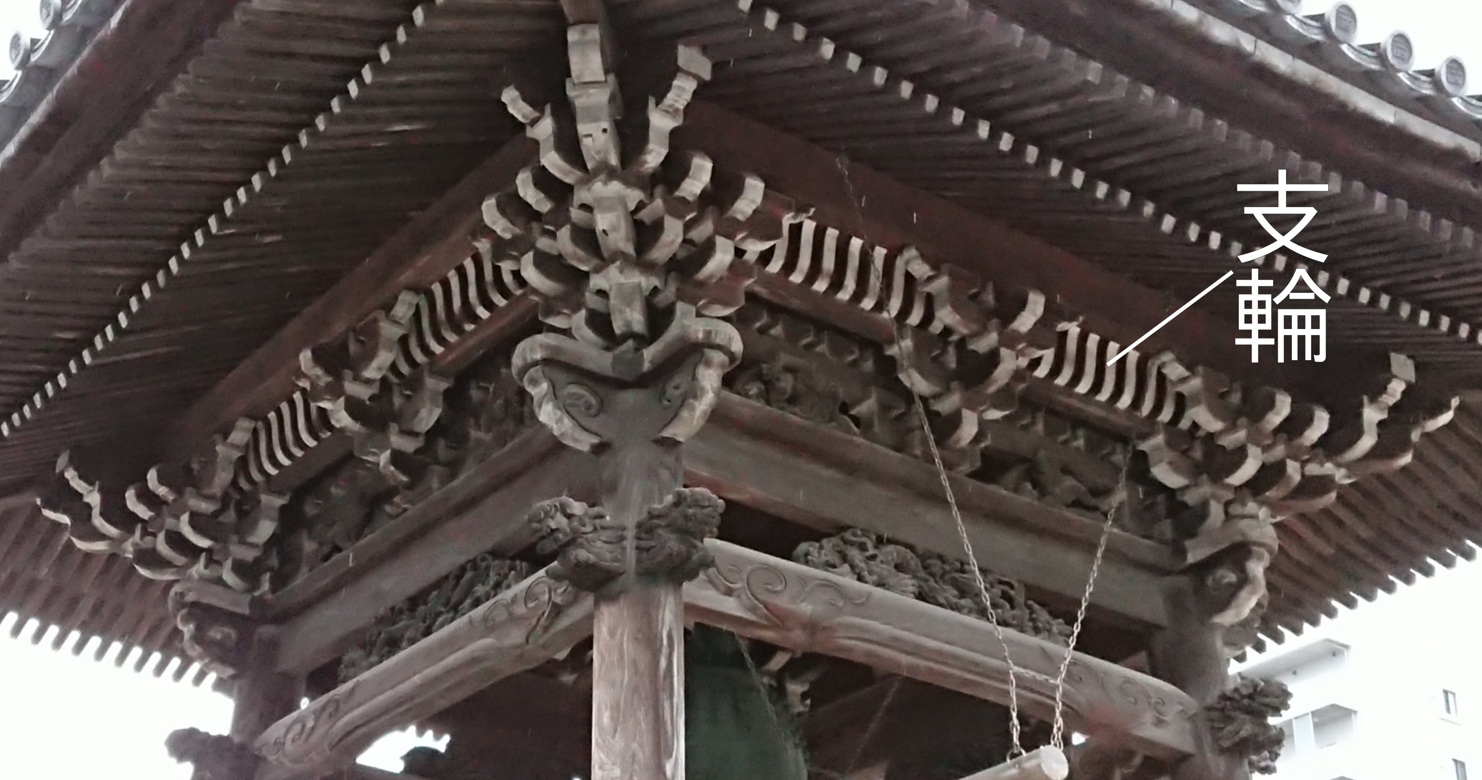 「しりん」の写真